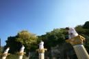l appel de bodin 081 * 4368 x 2912 * (4.58MB)